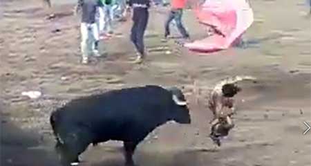 Hombre se debate entre la vida y la muerte tras ser atacado por un toro en Machachi