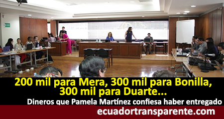 Pamela Martínez confiesa cantidades de dinero que habría entregado a varios funcionarios