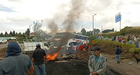 Expoflores denuncia que fincas han sufrido ataques violentos por manifestantes (fotos y videos)
